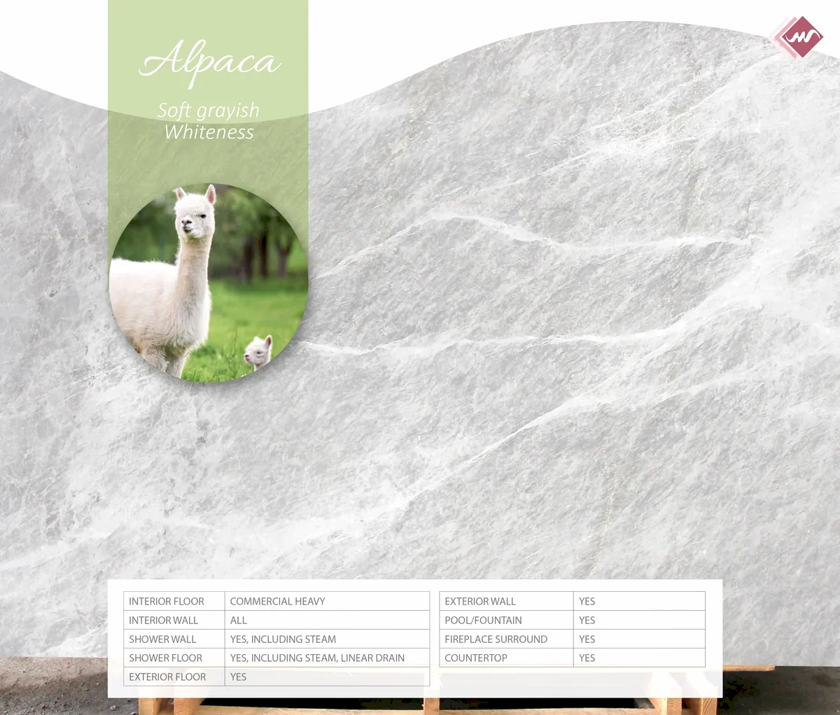 Alpaca
