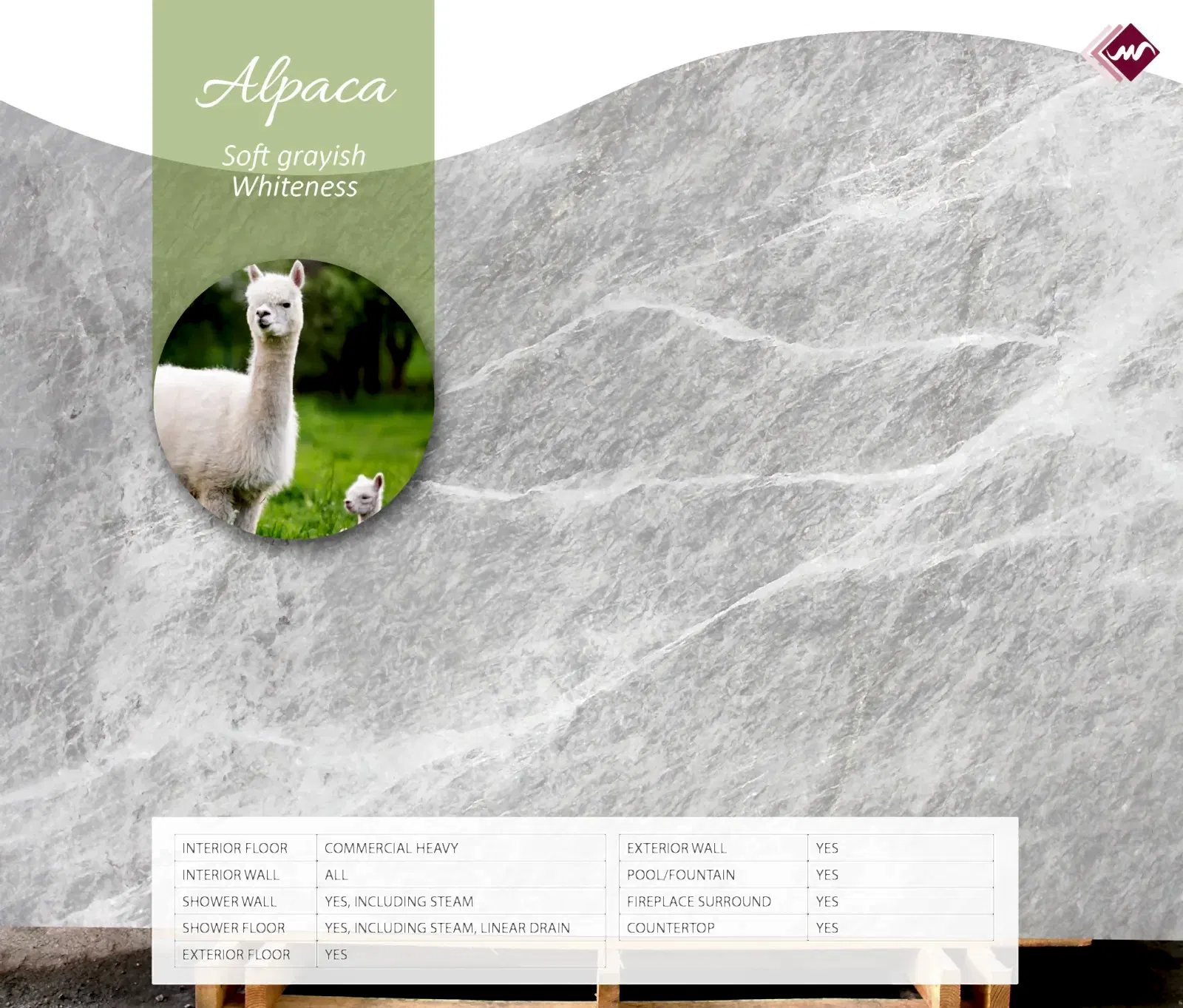 Alpaca