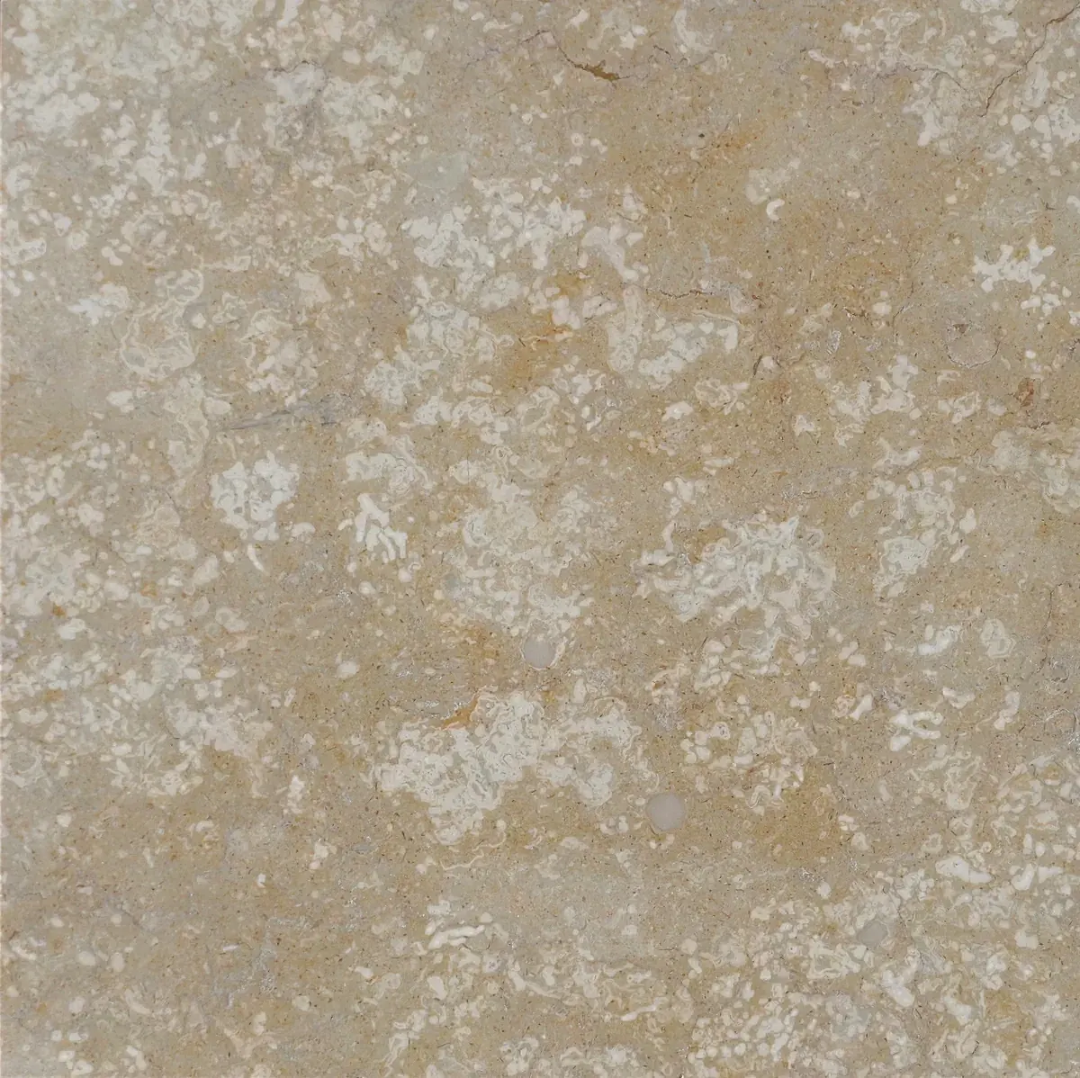 Desert Cream