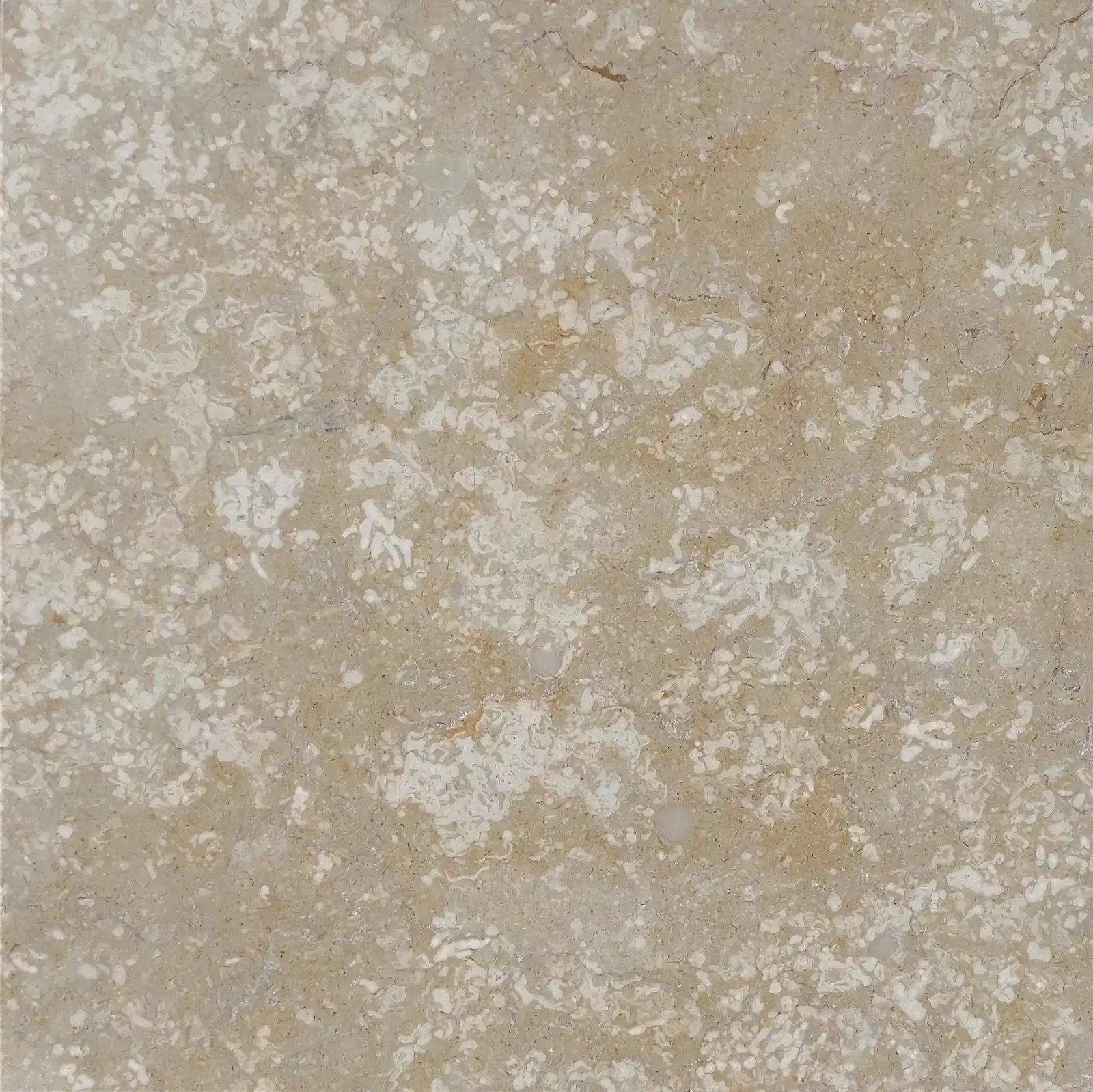 Desert Cream