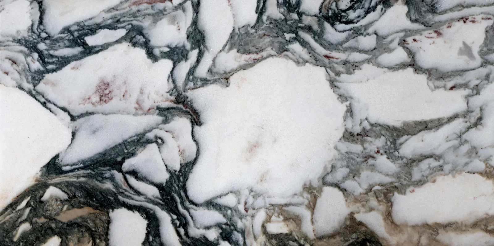 Calacatta Vida Tile Metamar Marble