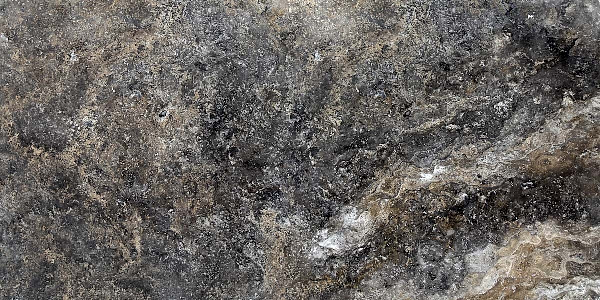 Silver Brown CC